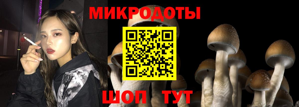 Галлюциногенные грибы прущие грибы Ростов Великий